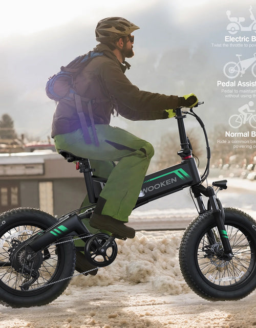 Load image into Gallery viewer, 20&quot;X4.0 Fat Tire Electric Bike for Adults, 500W Foldable Electric Bicycle with 48V 10Ah Built-In Battery, Shimano 7 Speed, Dual Shock Absorber
